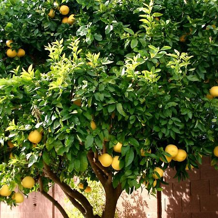 Hotel Lemon Tree Donji Seget Exteriér fotografie